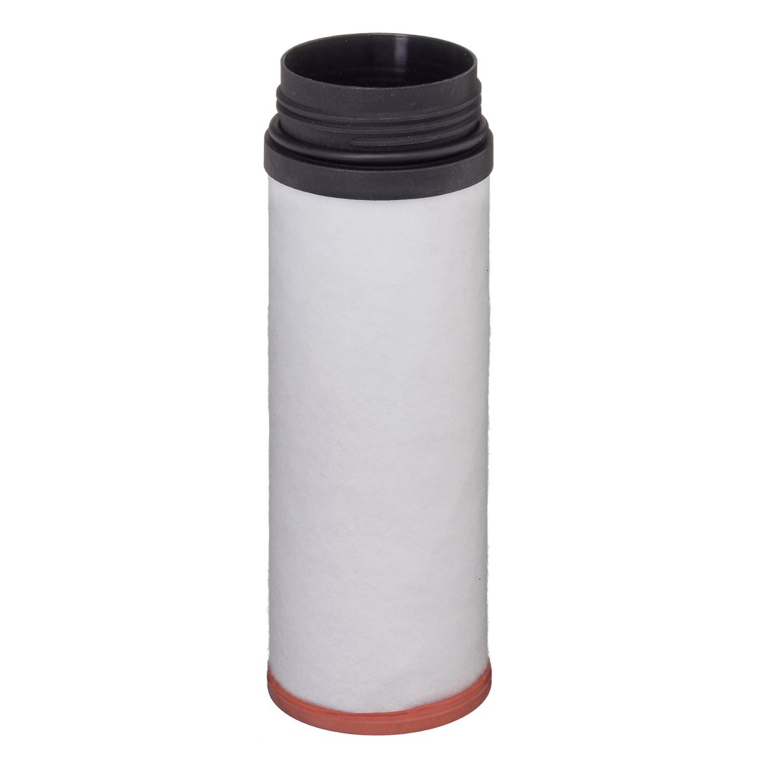 Secondary Air Filter